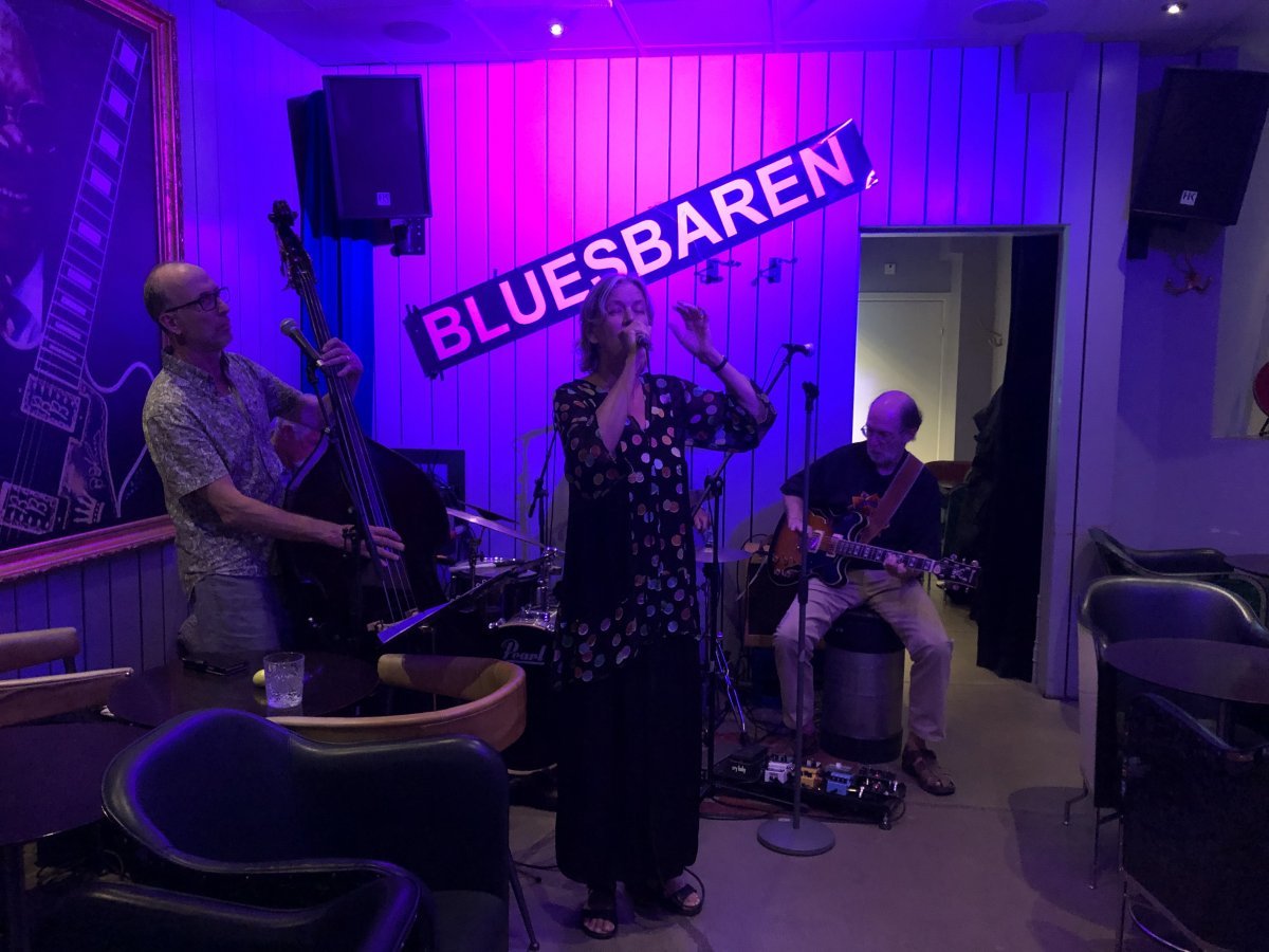 47_bluesbaren_lila.jpeg